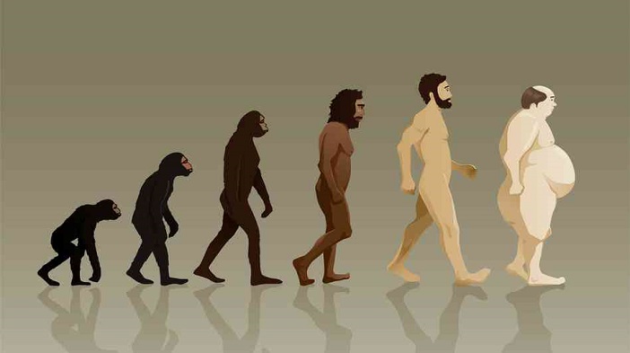 evolução de darwin